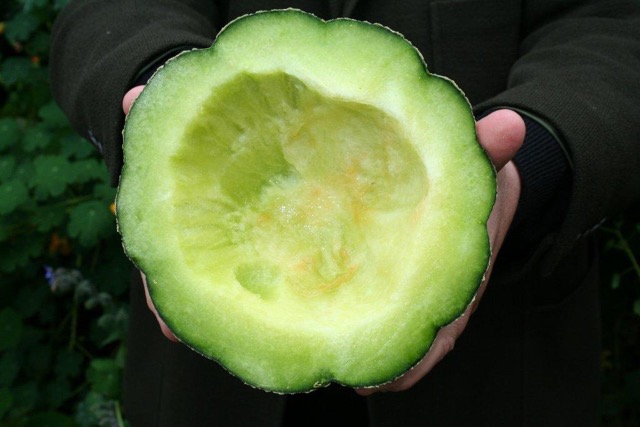 BOUFFE_Melon de Montreal