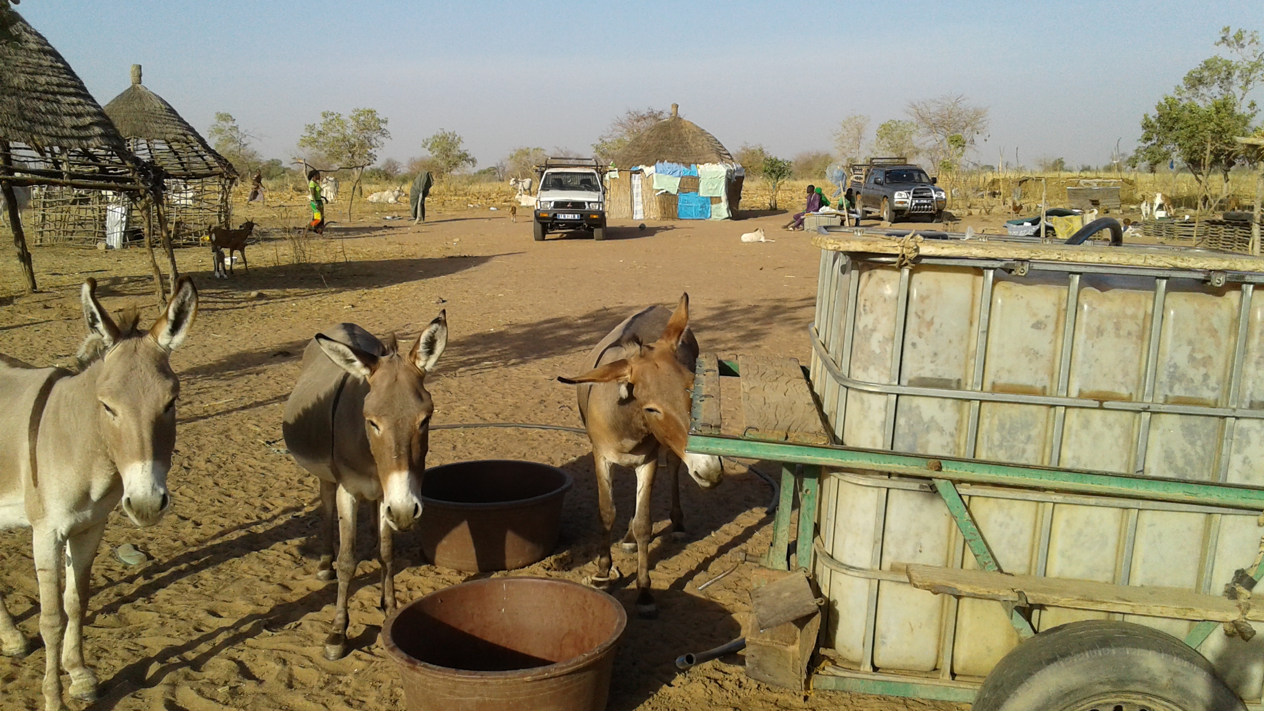 Ville Montr&eacute;al au S&eacute;n&eacute;gal