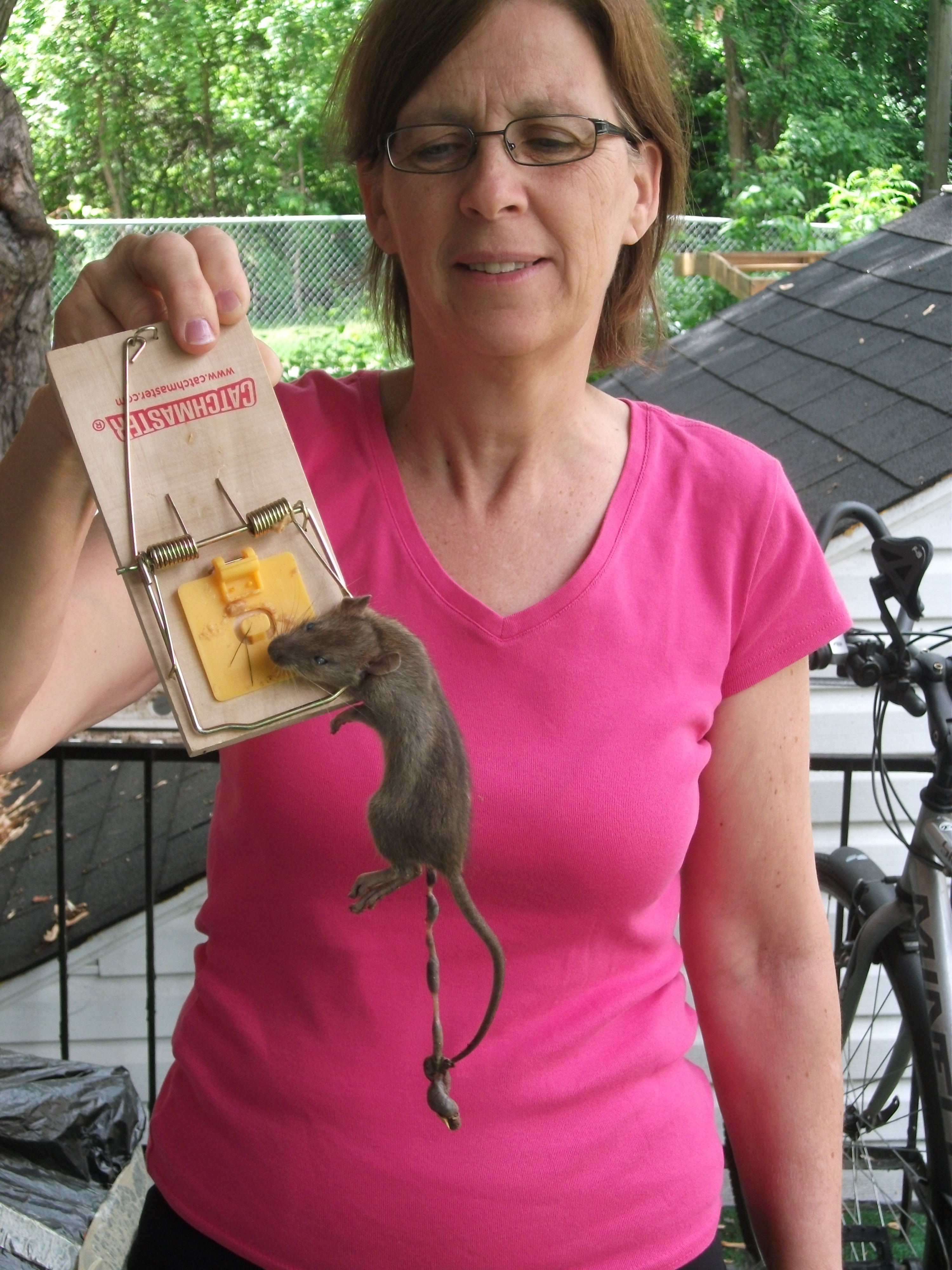 Francine Roy a attrap&eacute; plusieurs rats sur son balcon en un apr&egrave;s-midi. Photo: Collaboration sp&eacute;ciale