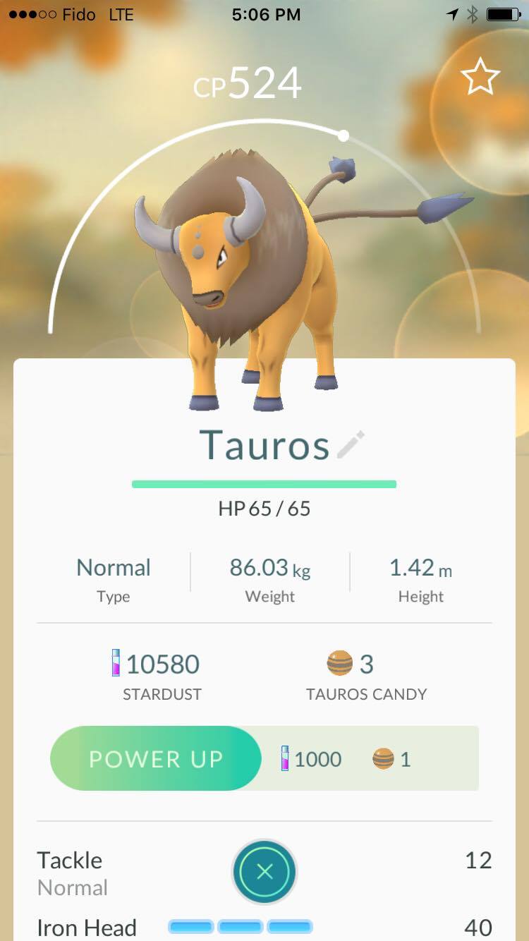 Tauros