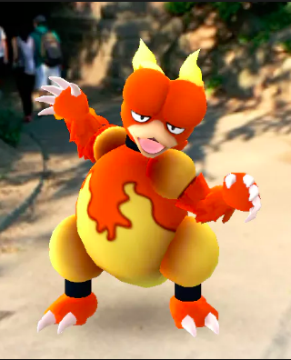 Magmar Mont-Royal