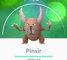 Pinsir parc Baldwin