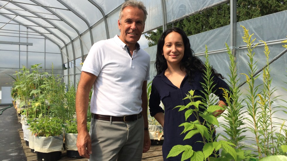 Michel Labrecque et Esther Lapierre-Archambault se penchent sur l'effet des polluants dans les sols contaminés sur les plantes utilisées en phytoremédiation.