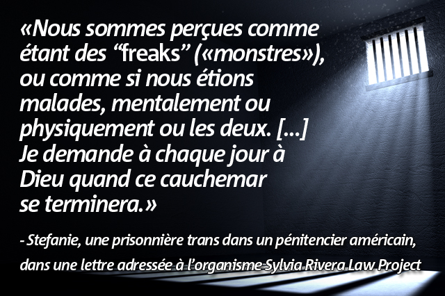 Stefanie - trans