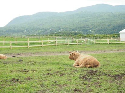 Baie Saint Paul Andr&eacute;anne Chevalier/M&eacute;tro