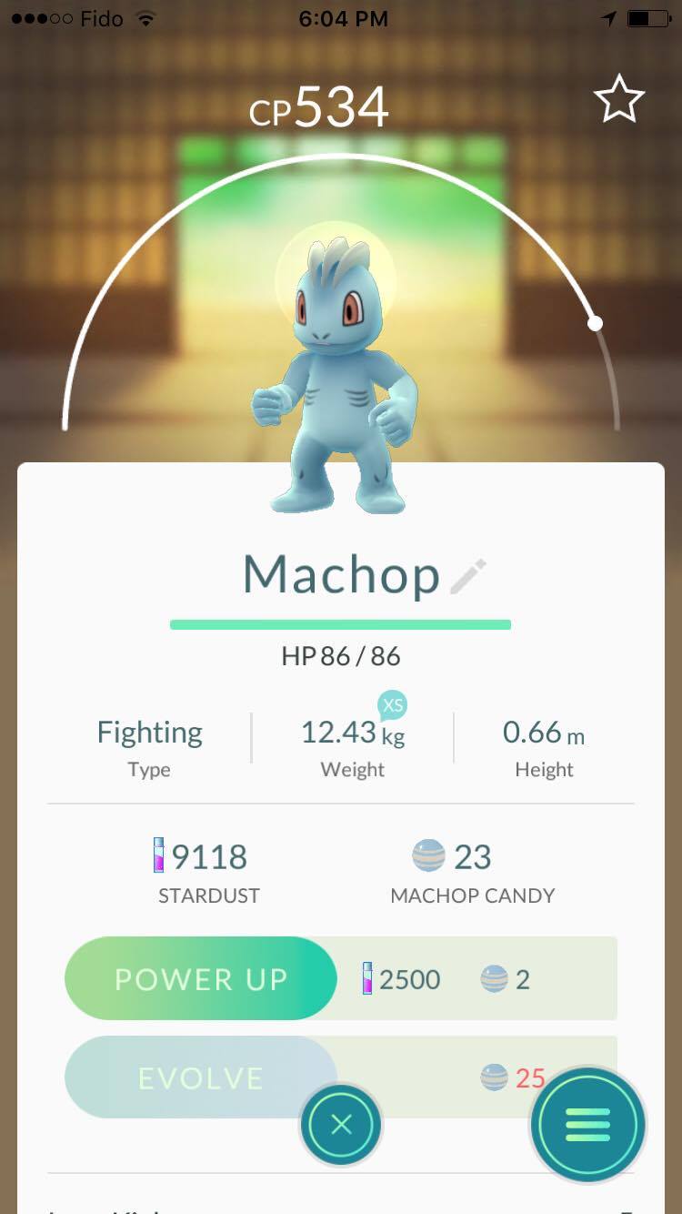 Machop Pok&eacute;mon Go