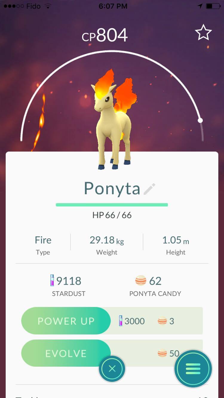 Ponyta Pok&eacute;mon Go