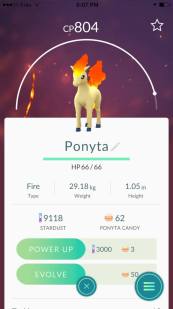 Ponyta Pokémon Go