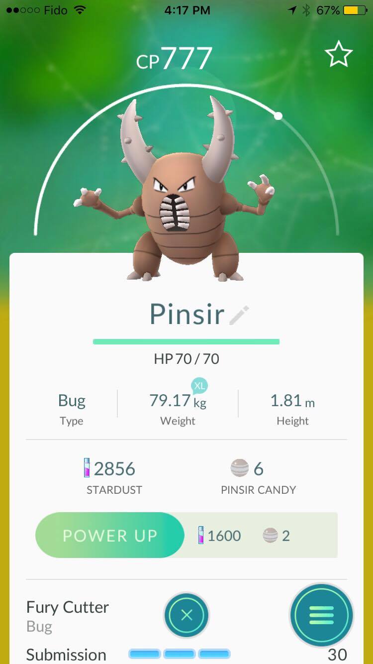 pinsir