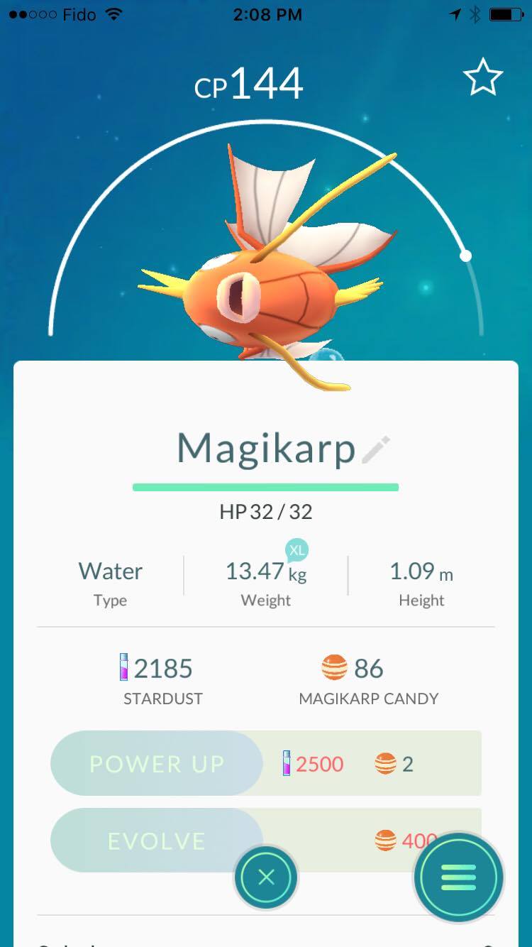 Magikarp