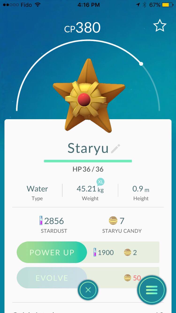 staryu