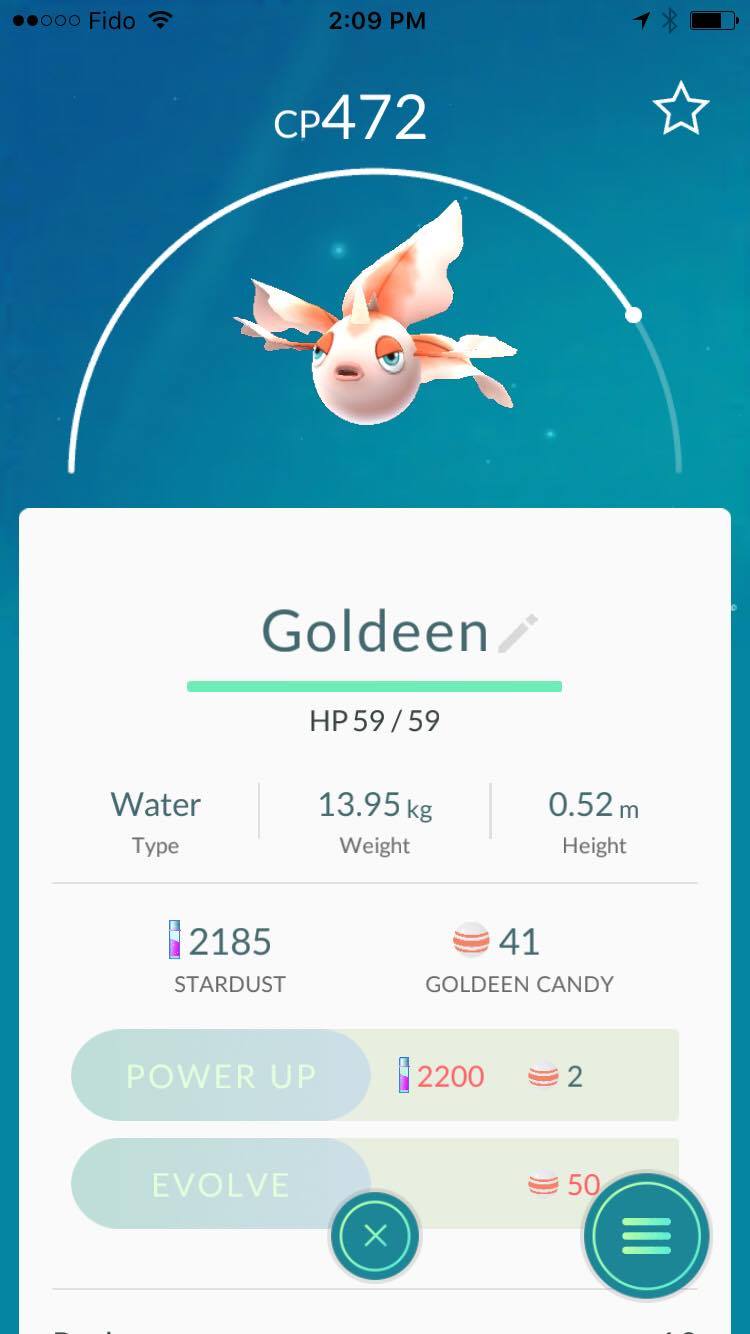 Goldeen