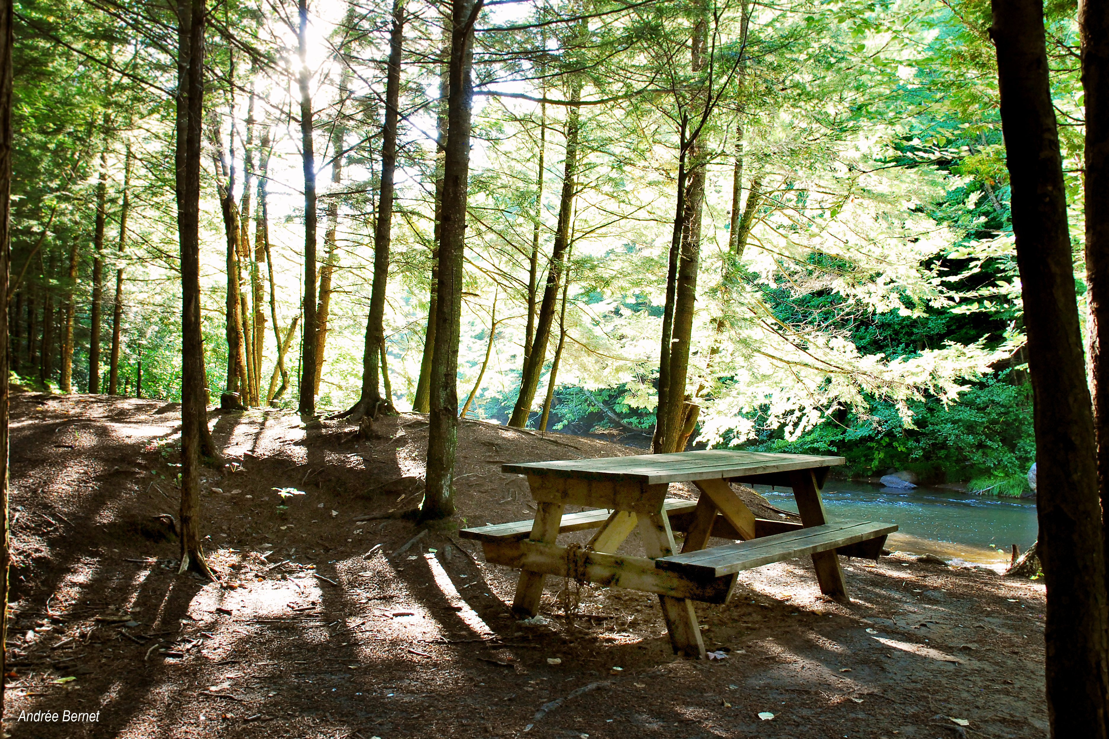 camping parc régional gentilly