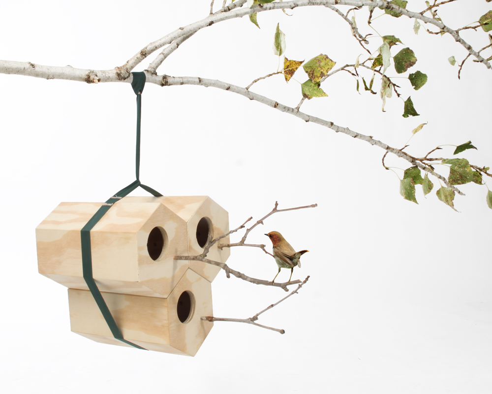 MAISON NeighBirds_051
