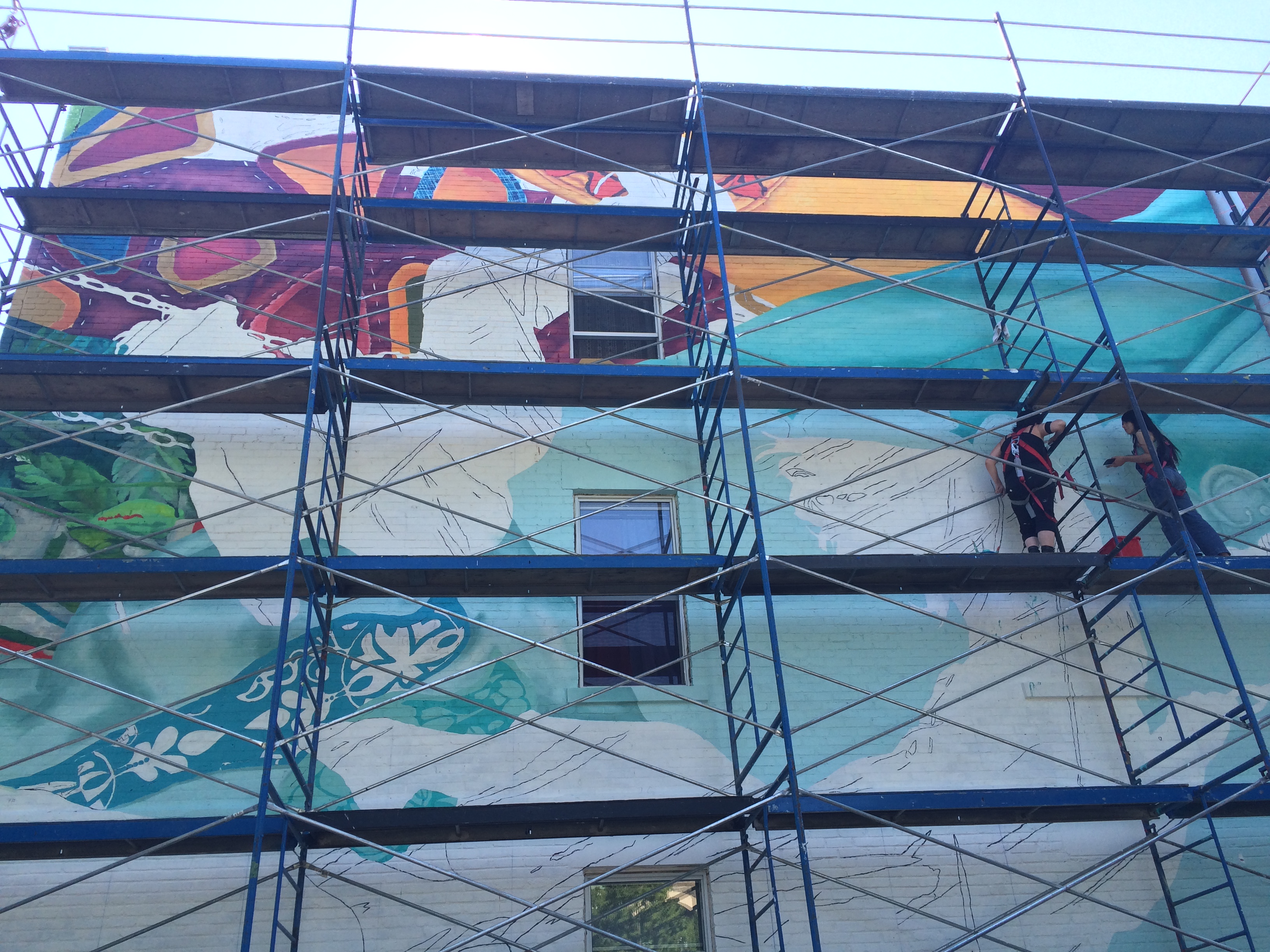 murale (28)