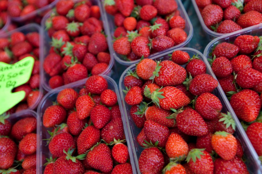 Fraises Des Effets Benefiques Sur Le Diabete