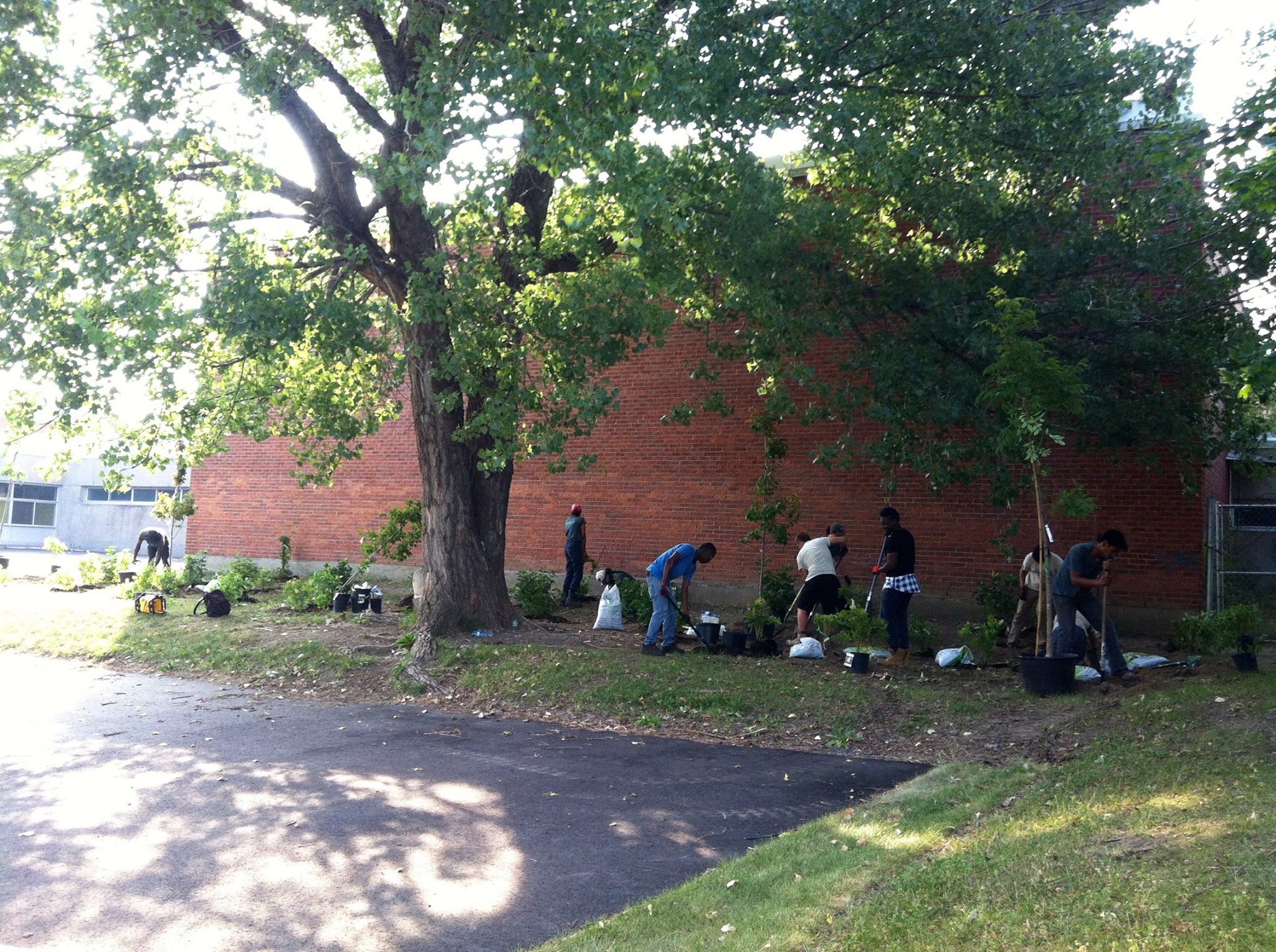 Les participants à ce programme de réinsertion sont en charge du verdissement de plusieurs secteurs de Montréal-Nord.