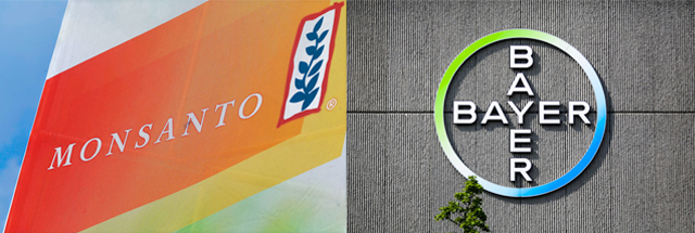 Bayer Achète Monsanto