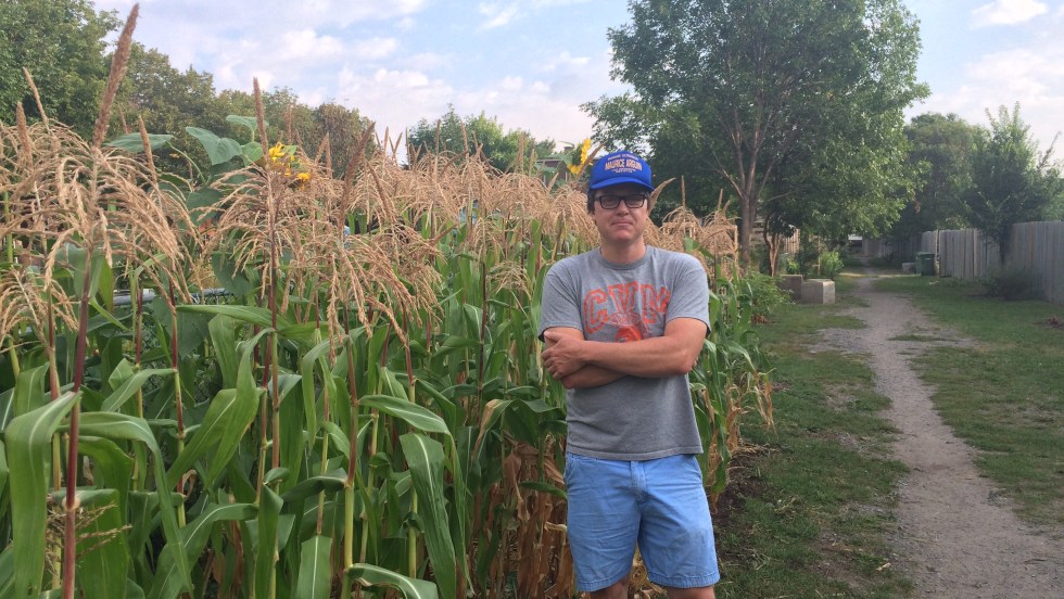 Les résidents du coin peuvent trouver des fruits comestibles dans la ruelle verte Basile-Patenaude.