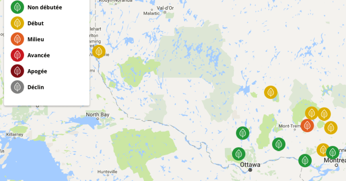 Une Carte Pour Suivre L Evolution Des Couleurs Automnales Au Quebec