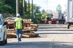 &copy;2016 Denis Germain