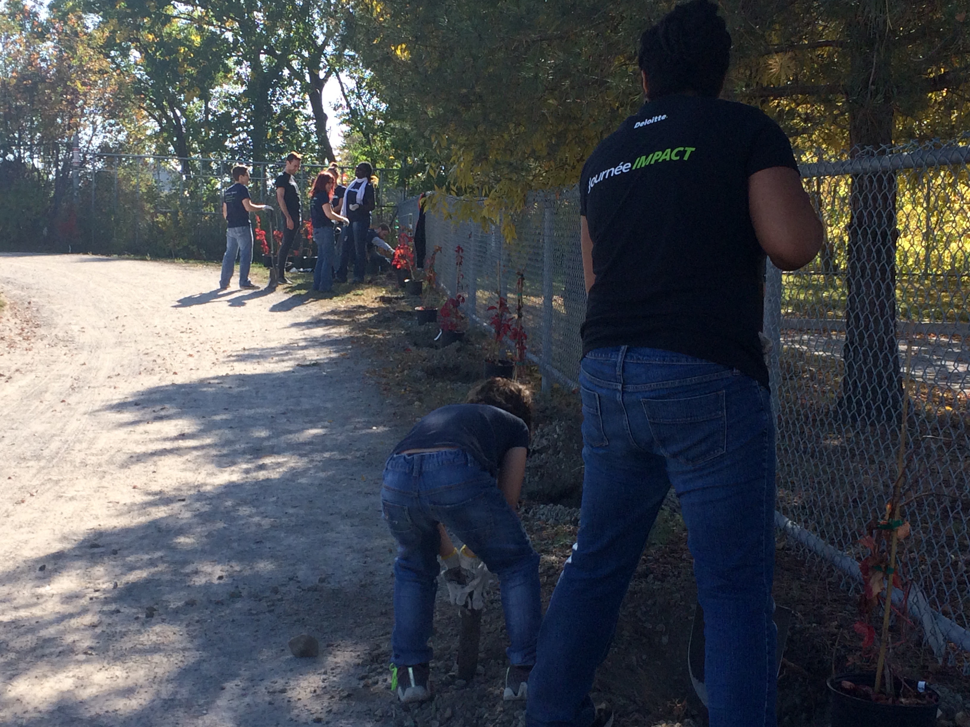 De la verdure et de nouveaux aménagements ont été installés près de la piste.