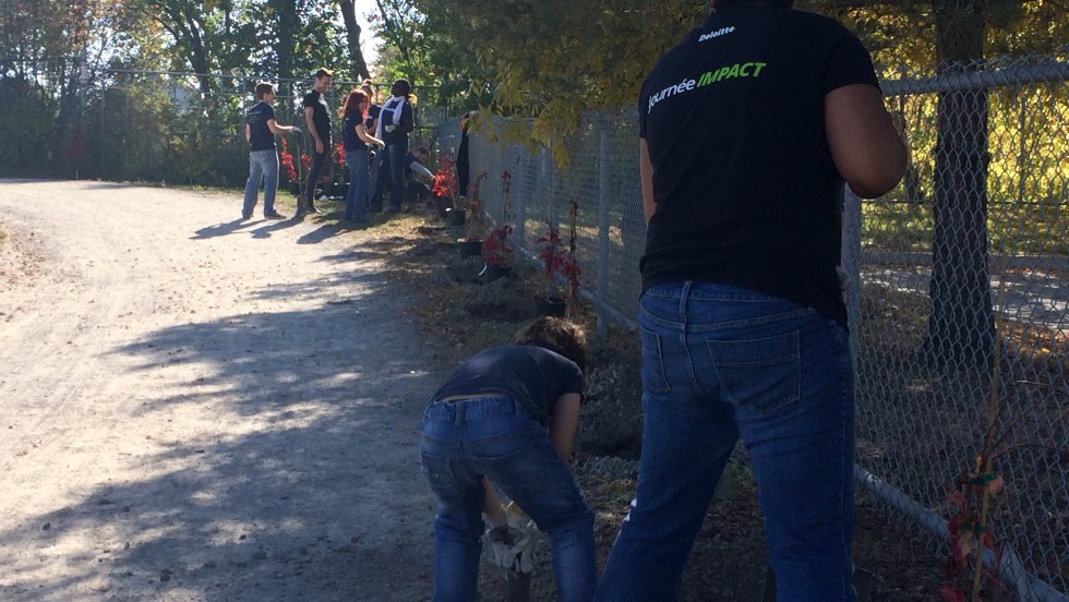 De la verdure et de nouveaux aménagements ont été installés près de la piste.