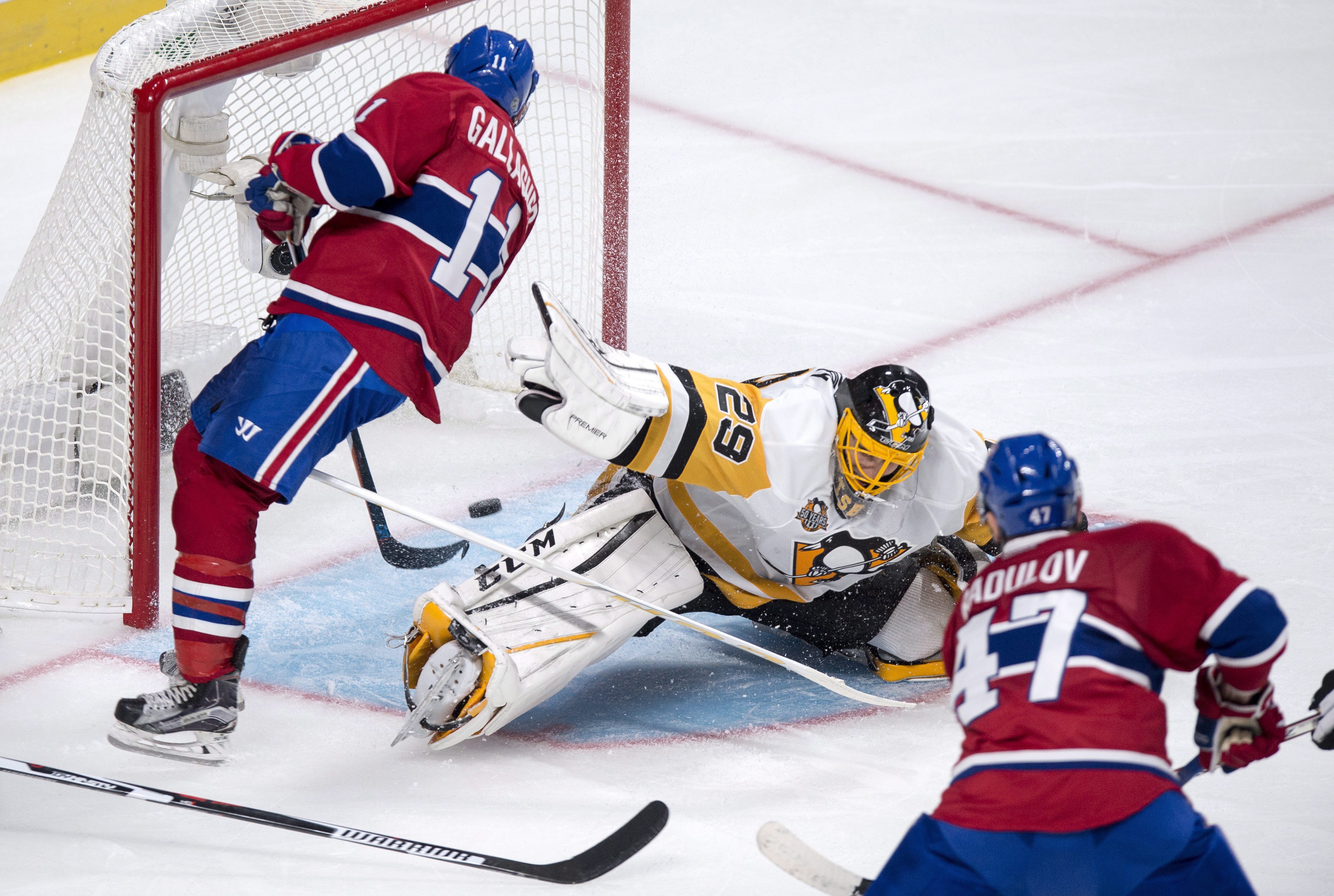 Marc-Andre Fleury Brendan Gallagher Alexander Radulov