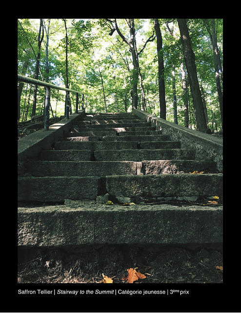 concours les amis de la montagne