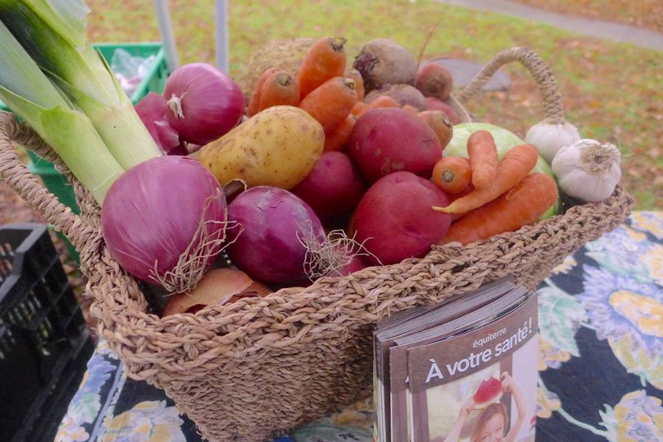 legumes-ecole-3