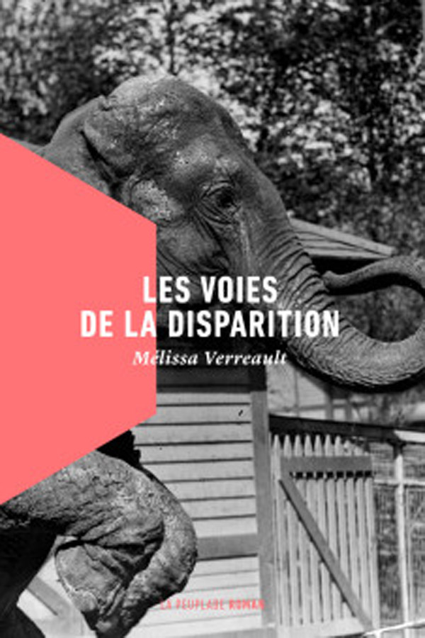 noel-livre-les-voies-de-la-disparition_c100