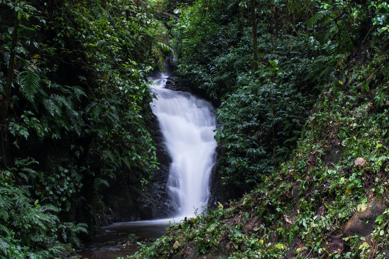 Impressions of the Cloud Rainforest of Monteverde and Santa Elena in Costa Rica. The place to visit a wonderful and mysterious forest in the clouds which is protected as National Park. The waterfalls of the rainforest are always an impressive aim on your hike