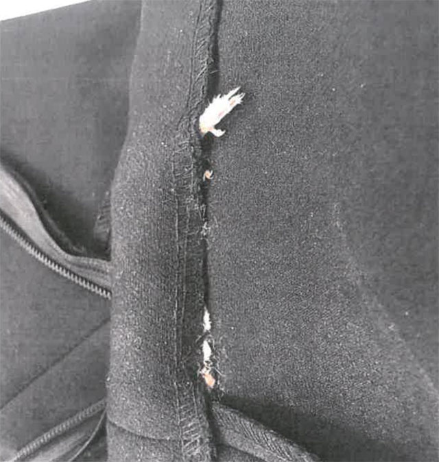 zara patte de souris