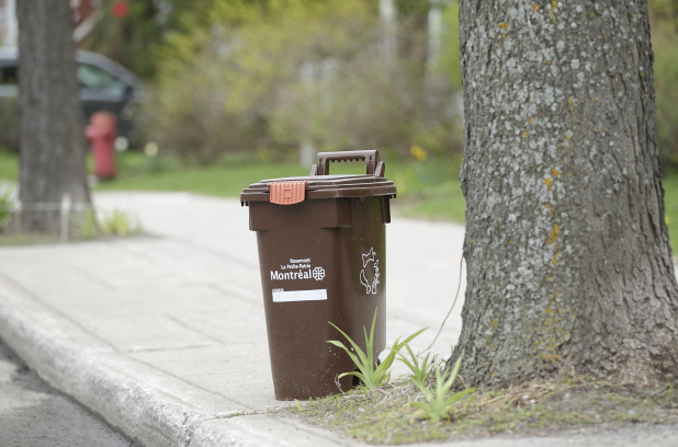 Les commerces situ&eacute;s du c&ocirc;t&eacute; est de la rue Saint-Denis recevront des bacs de compostage en f&eacute;vrier