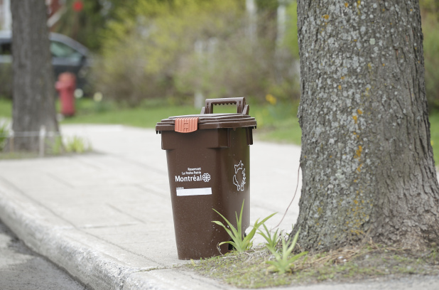 Les commerces situés du côté est de la rue Saint-Denis recevront des bacs de compostage en février