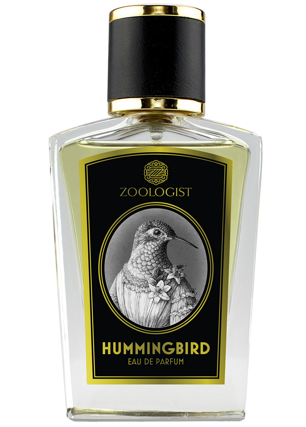 tendances-zoologist-hummingbird_cc100