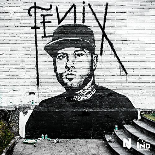 art-nicky-jam-cd