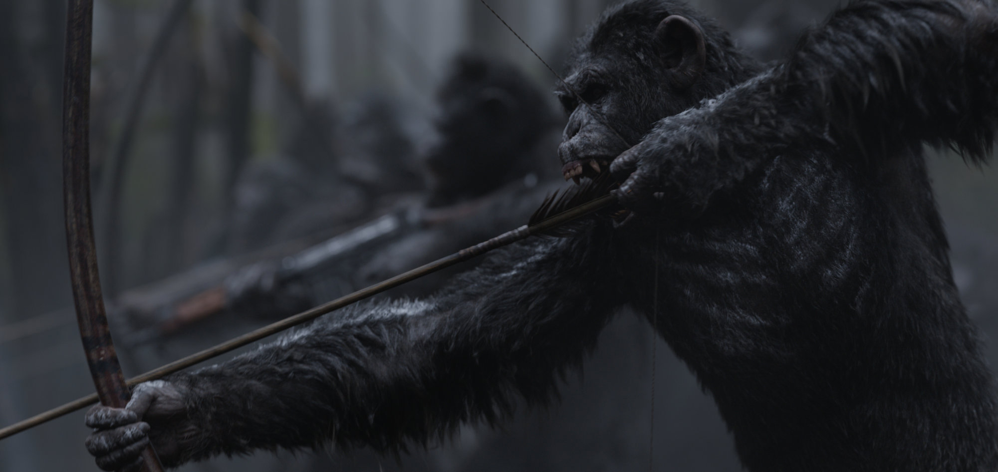 art-war-for-the-planet-of-the-apes_c100
