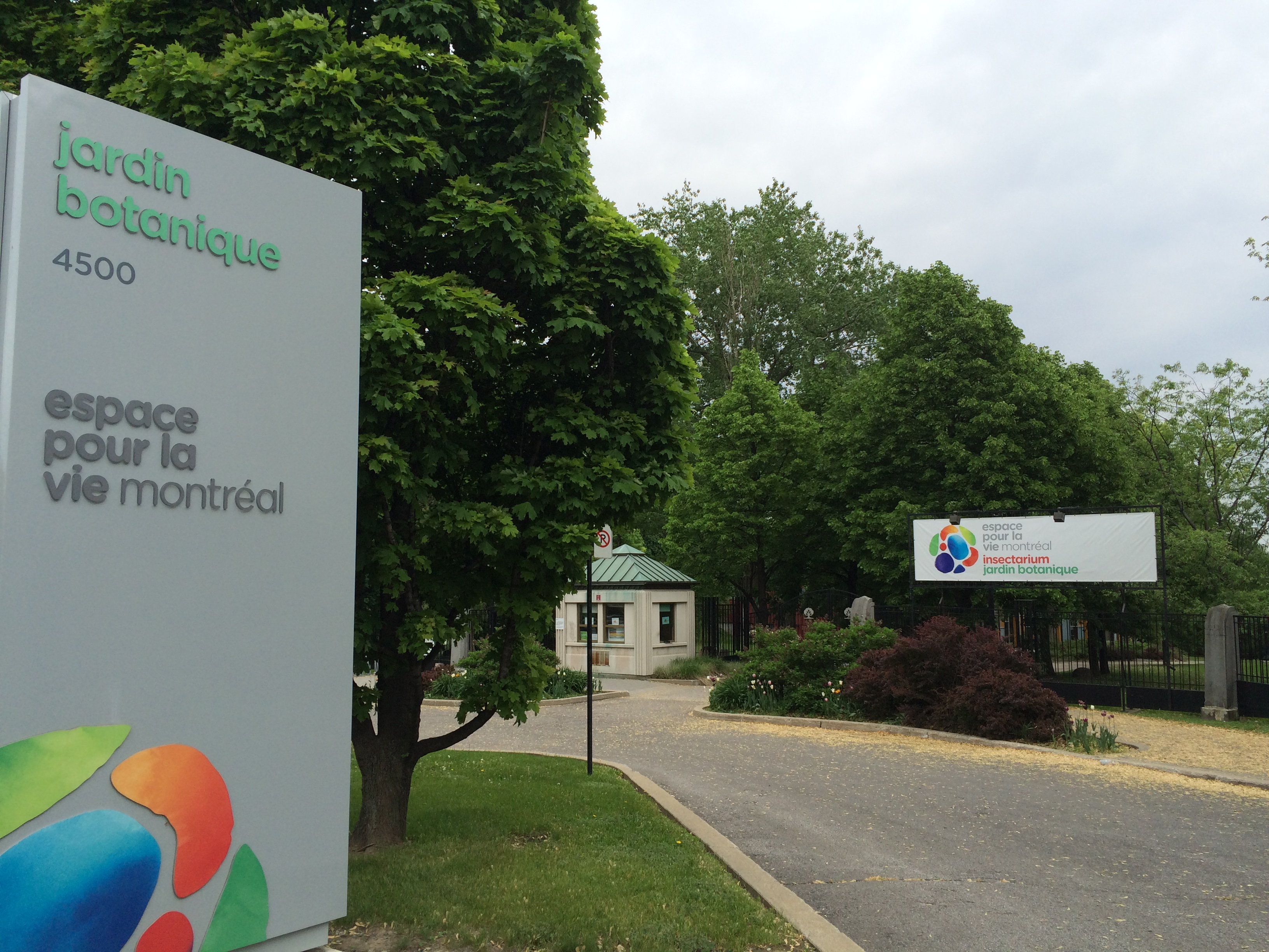 Le Jardin botanique de Montréal prépare une nouvelle exposition sur les phytotechnologies.