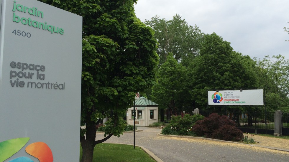 Le Jardin botanique de Montréal prépare une nouvelle exposition sur les phytotechnologies.