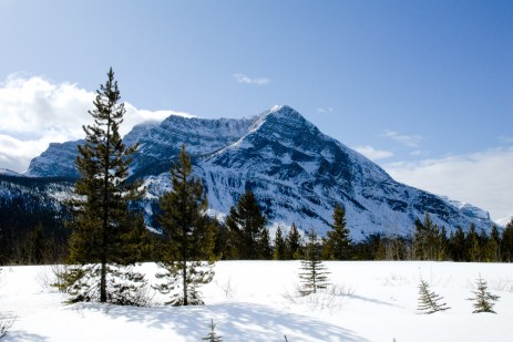 Mountain Range in Kootenay, Canadian Rockies
