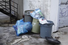 Des poubelles déposées le mauvais jour dans l'avenue de Chateaubriand en raison de confusions autour des horaires de collectes sur le Plateau