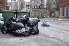 Des sacs-poubelle sur le trottoir et au milieu de l'avenue de Chateaubriand sur le Plateau-Mont-Royal