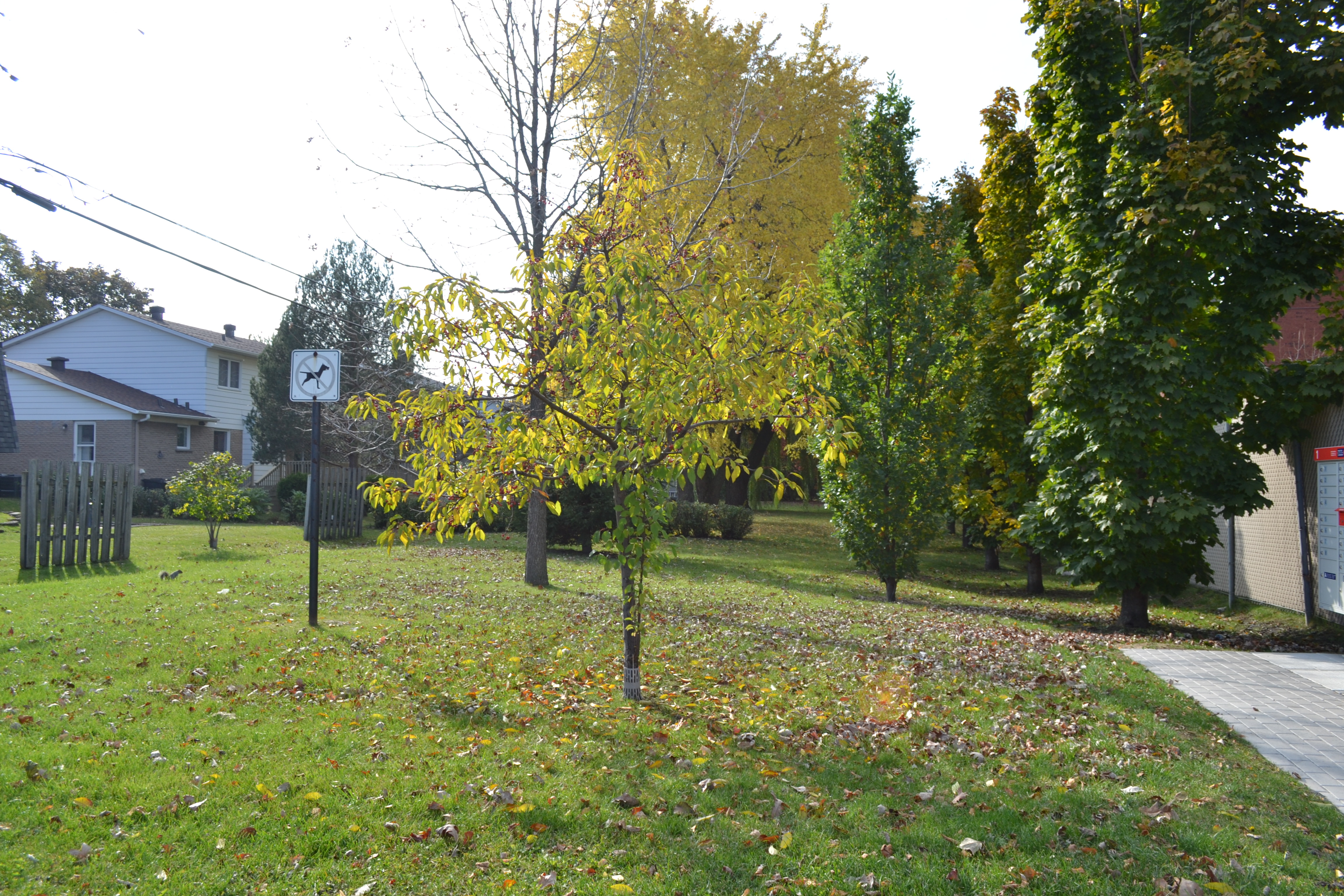 piste-cyclable-15