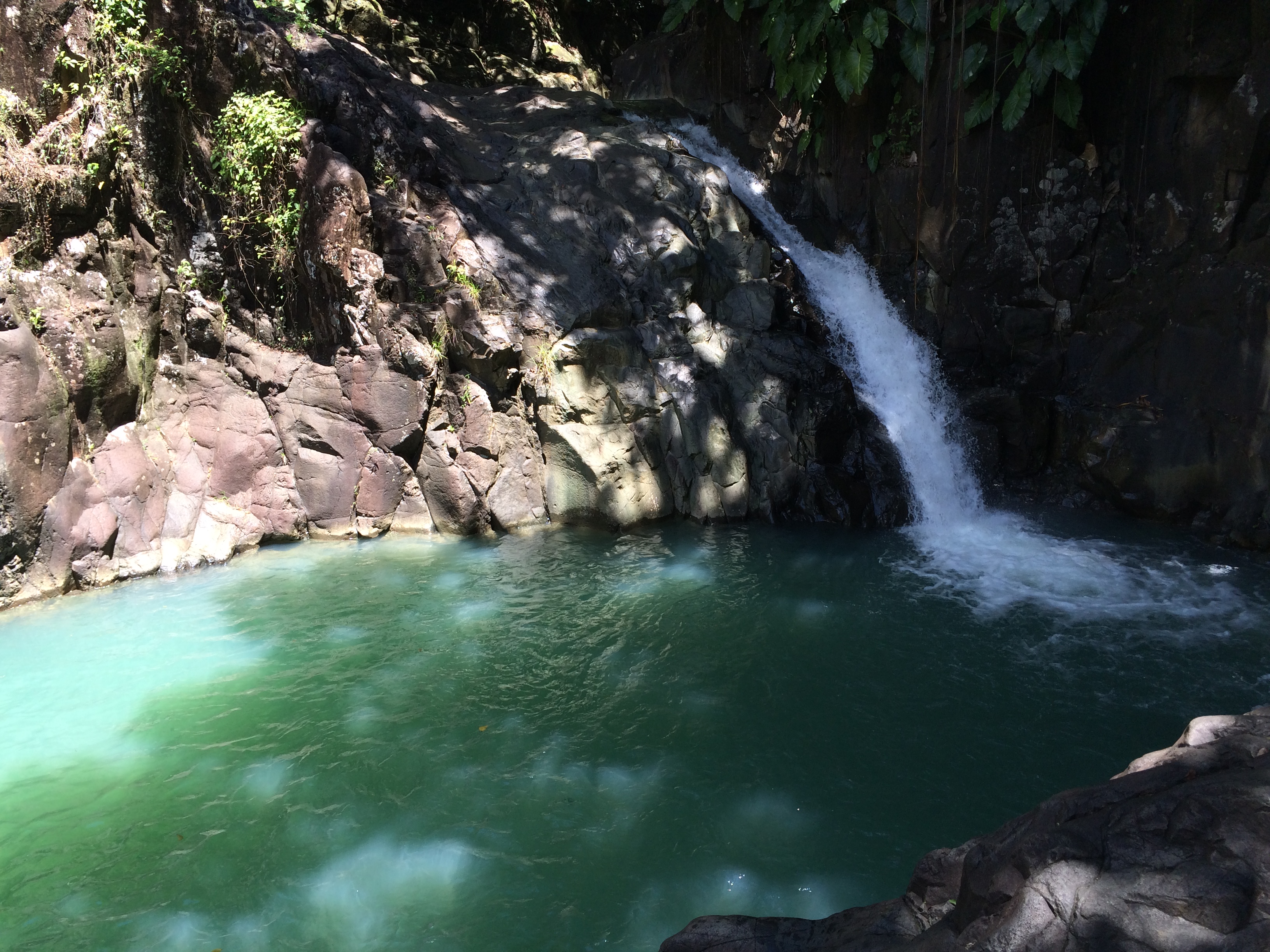 guadeloupe cascade le saut de-lacomat