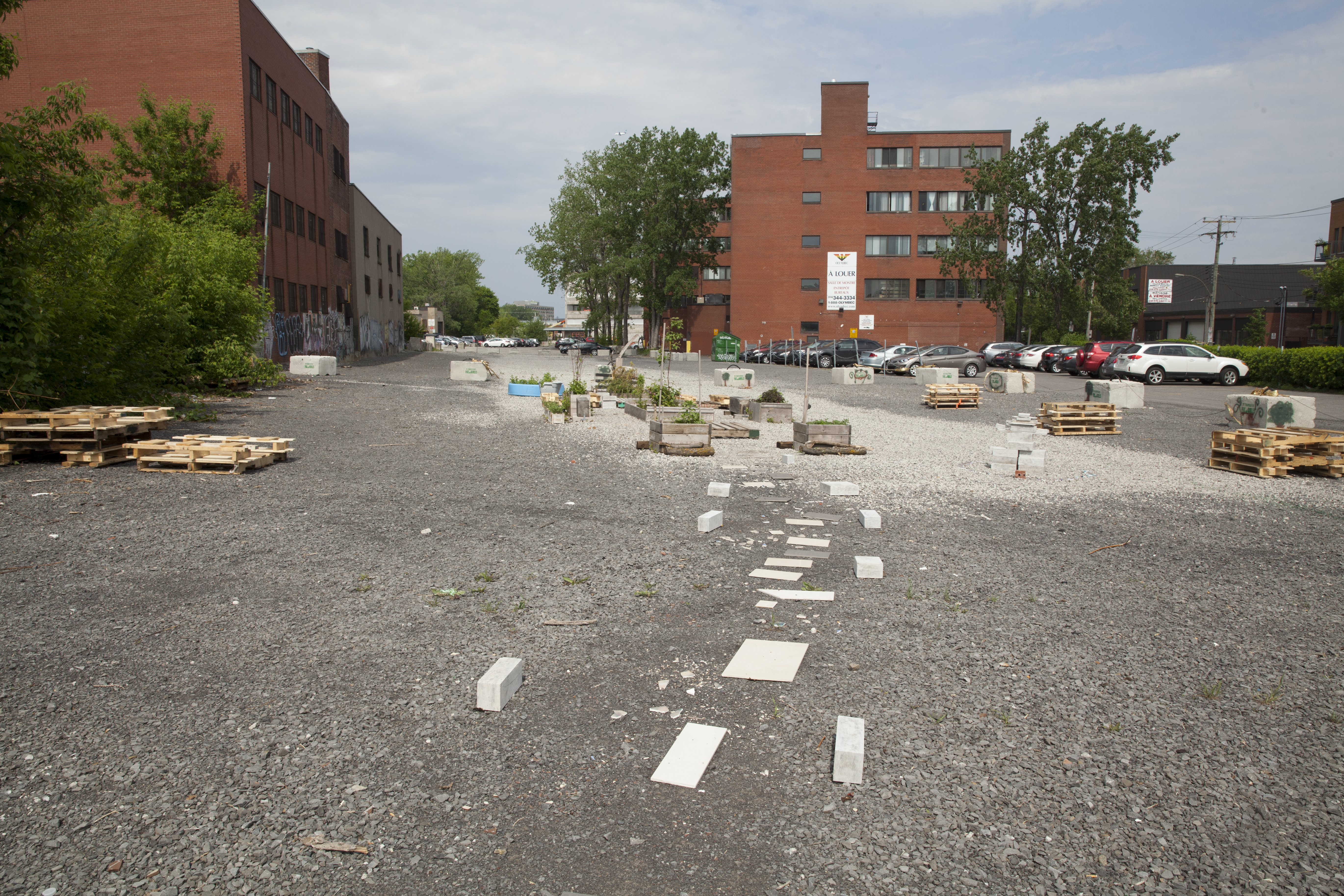 L'acquisition du parc des Gorilles pourrait se faire à coup de millions de dollars.