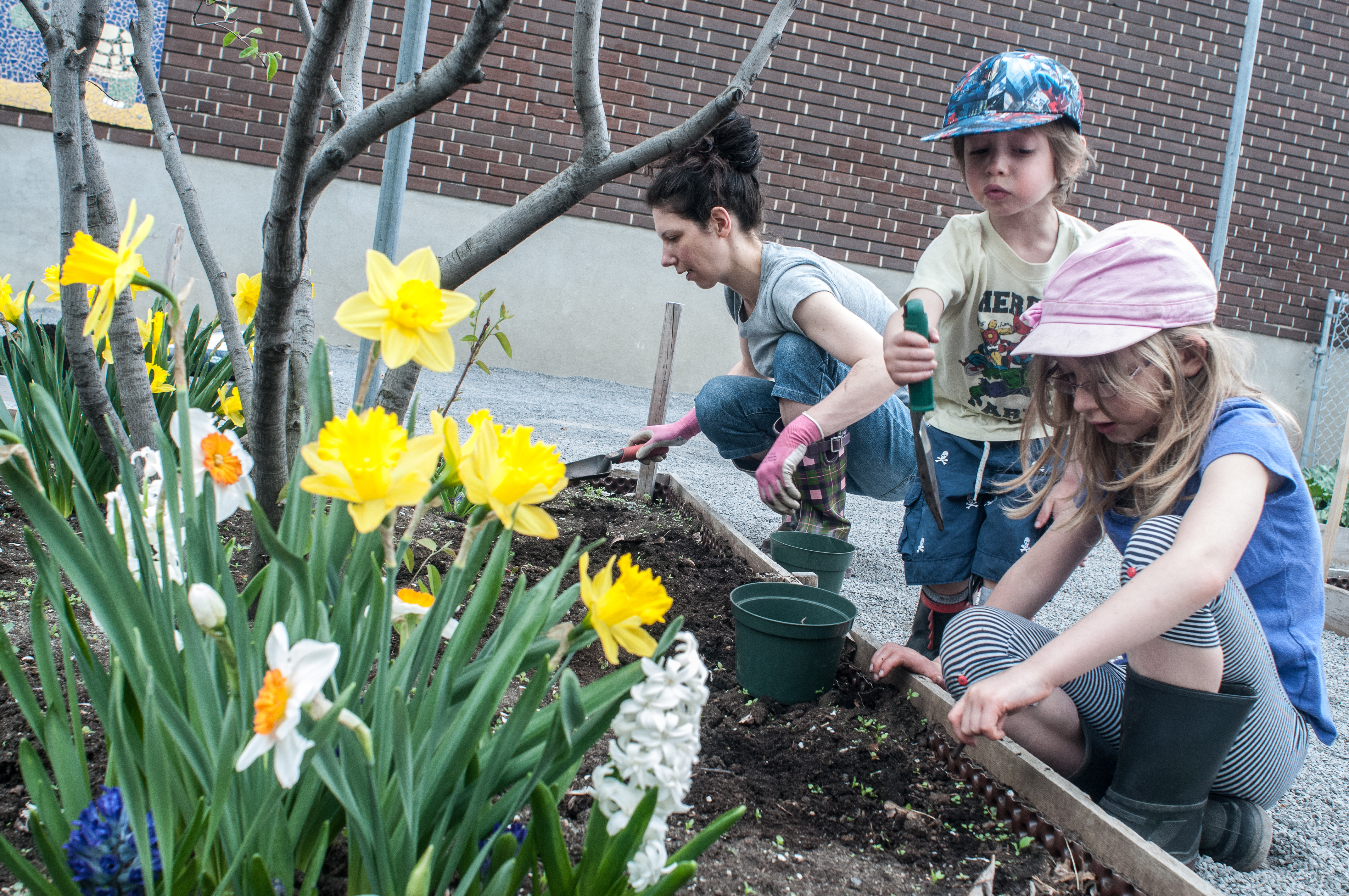 Les parents et écoliers profitent depuis 10 ans d'un potager qu'ils ont aménagé.