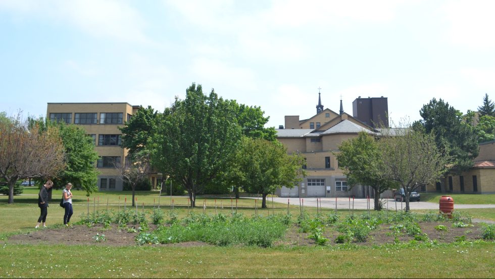 Le terrain qui sera aménagé cet été.