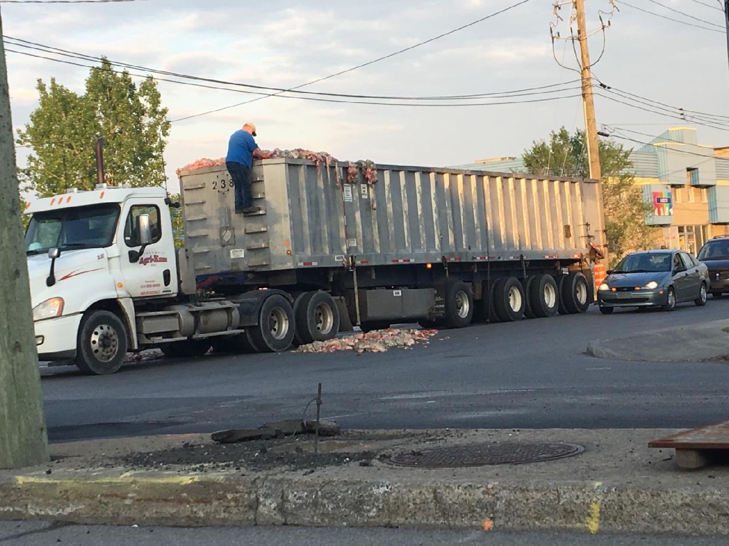 Des carcasses d’animaux sont tombées d’un camion conduit par un fournisseur de Sanimax. le 23 mai 2017.