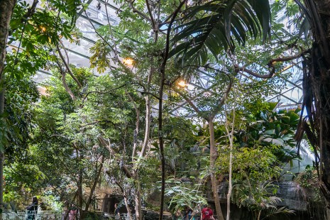 Anniversaire Du Biodome 25 Ans De Souvenirs Et D Anecdotes Anniversaire Du Biodome 25 Ans De Souvenirs Et D Anecdotes